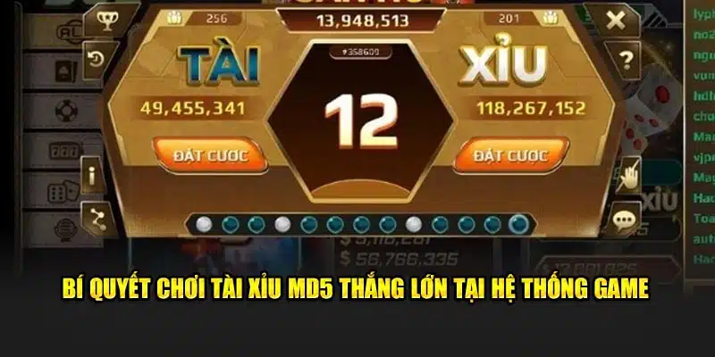 Bí quyết chơi tài xỉu MD5 thắng lớn tại hệ thống game